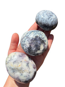 Dendritic Opal Palm Stone (large) 
