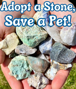Adopt a Stone, Help a Pet! Adopt a Stone, Help a Pet!
