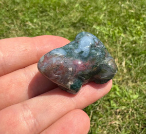 Bloodstone Frog 
