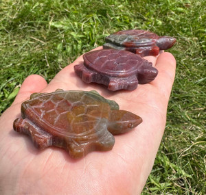 Bloodstone Turtle 