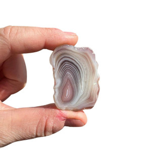 Botswana Agate Slice - Grade A
