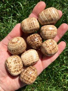 Brown Aragonite Tumbled Stone - Polished Aragonite Crystal