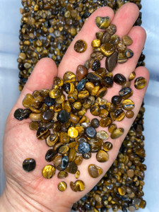 Bulk Gold Tigers Eye Chips (1 lb. Bag)  Size 7mm - 9mm 