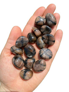 Chiastolite Tumbled Stone