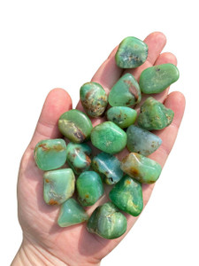 Chrysoprase Tumbled Stone 0.5 - 2 Polished Chrysoprase Crystal
