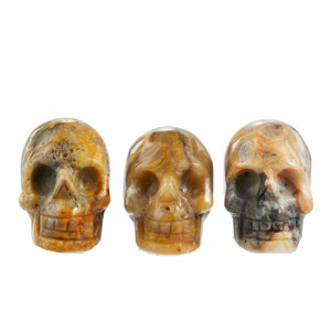 Crazy Lace Agate Skull - Polished Stone Sculpture