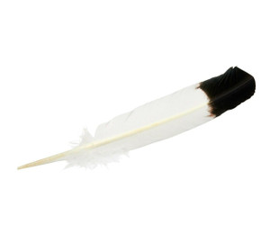 Feather