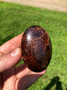 Garnet Palm Stone - Polished Stone Oval