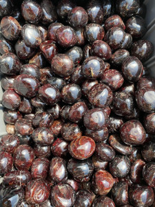 Garnet Tumbled Stone - Polished Garnet Crystal
