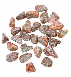 Leopardskin Jasper Tumbled Stone - Polished Leopardskin Jasper Crystal