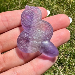 Rainbow Fluorite Snake 