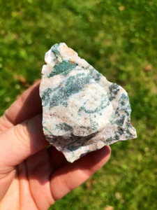 Raw Tree Agate Stone