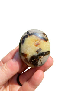 Septarian Palm Stone