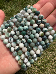 Tree Agate Bead Strand 