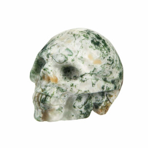Tree Agate Skull - Polished Stone Sculpture