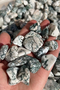 Tree Agate Tumbled Stone 